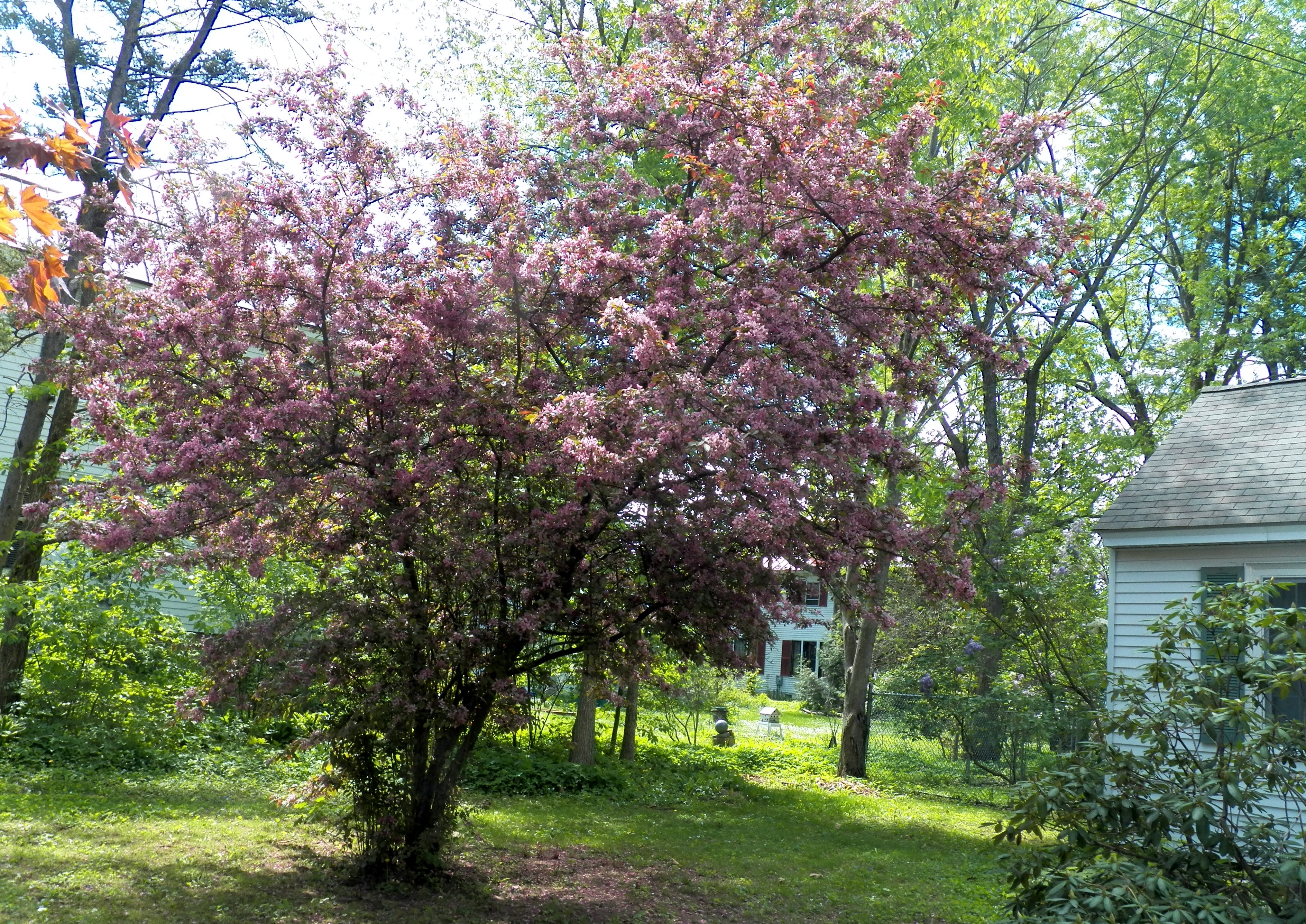 Awaiting Spring – BarbaraBeardsley.com